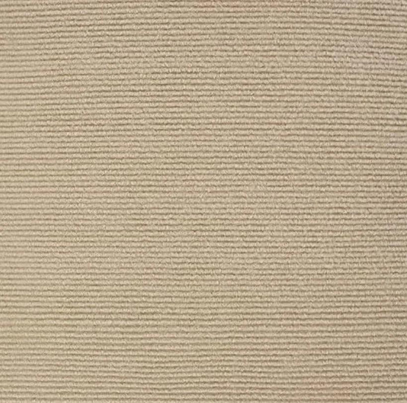 Carpete Adesivo Protetor para Unhas de Gatos